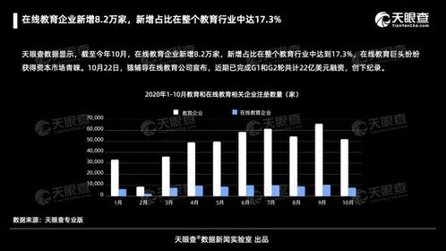 在線教育行業(yè)迅猛擴(kuò)張 截至十月新增8.2萬家企業(yè)，占比達(dá)行業(yè)17%
